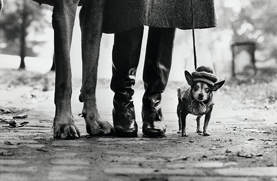 02_ELLIOTT ERWITT, New York City, 1974.jpg