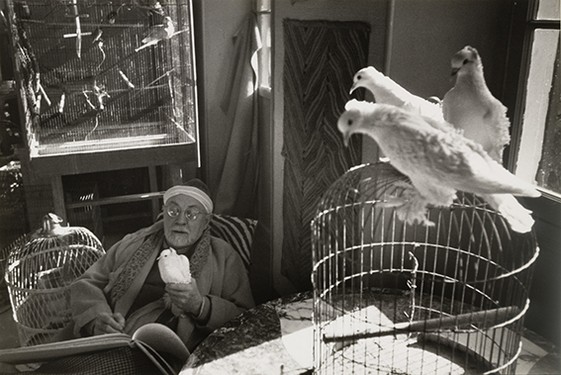 05_HENRI CARTIER-BRESSON, Henri Matisse, Vence, France, 1944 - Copia.jpg
